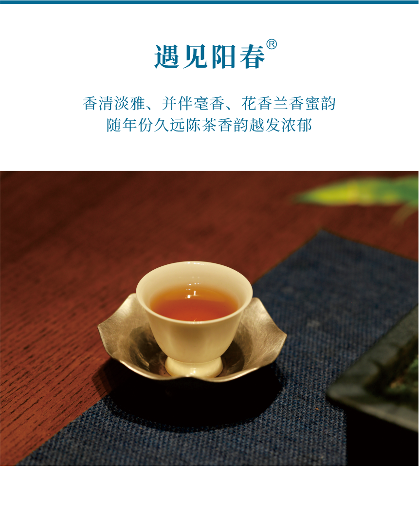 匠心-18遇見陽春-7.png