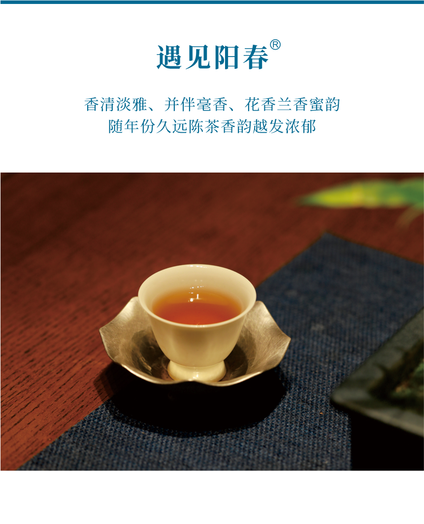 匠心-14遇見陽春-7.png