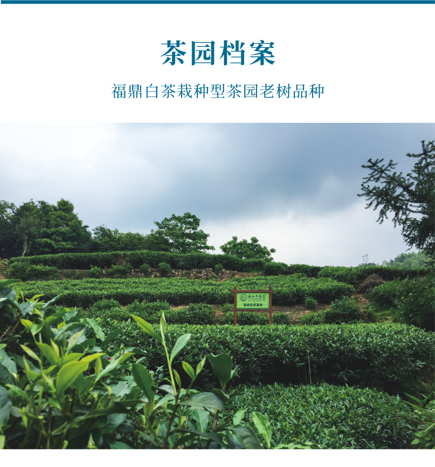 匠心-14遇見陽春-10-1.png