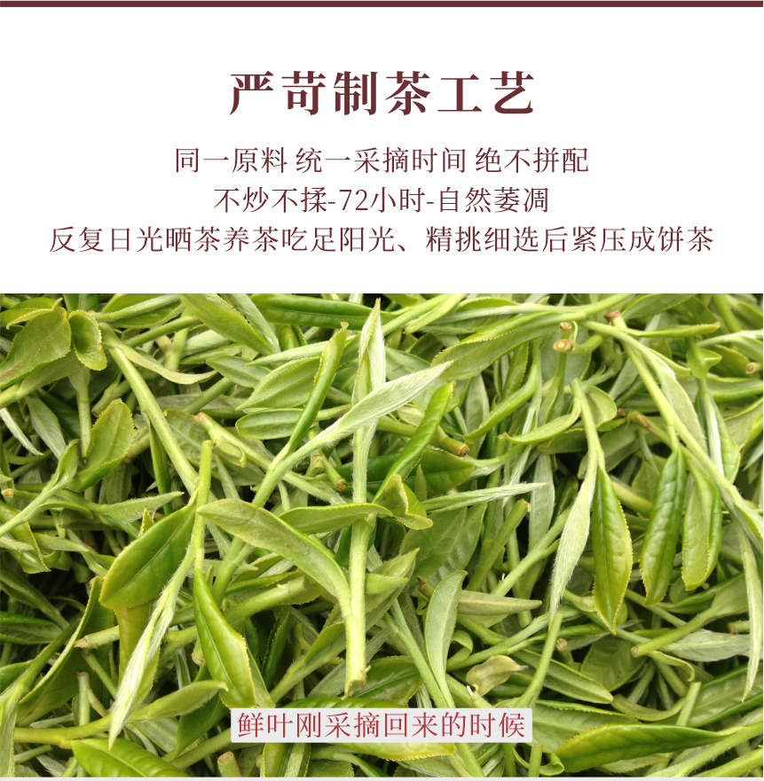 國禮-12秋露華香-11-1.png