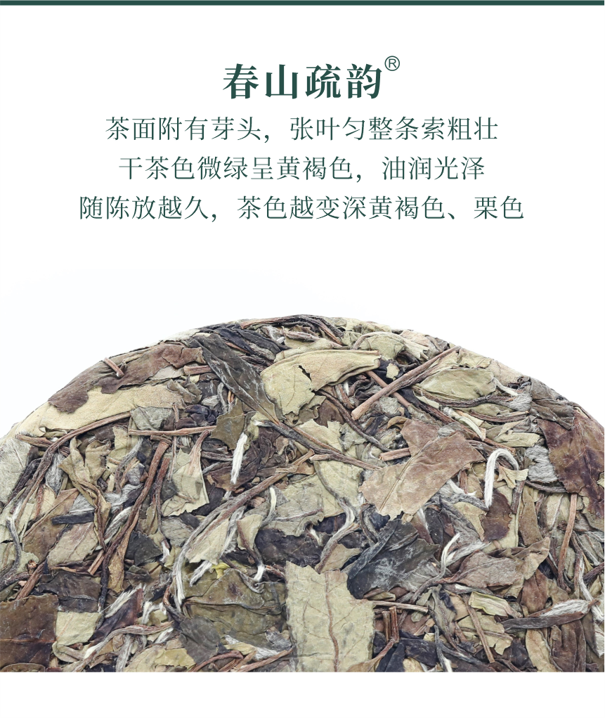 國禮-14春山疏韻-5.png