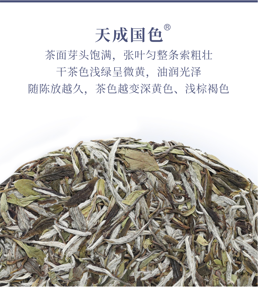 國禮-16天成國色-5.png