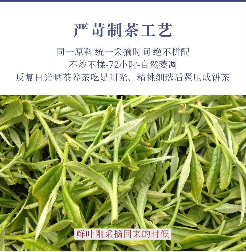 國禮-16天成國色-11-1.png