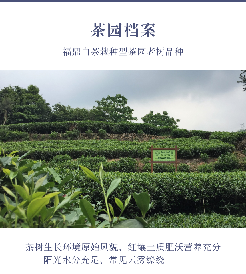 國禮-16天成國色-10-1.png