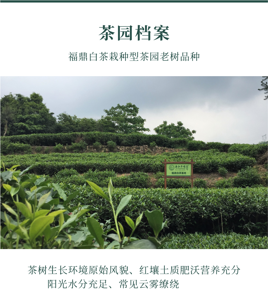 國禮-14春山疏韻-10-1.png