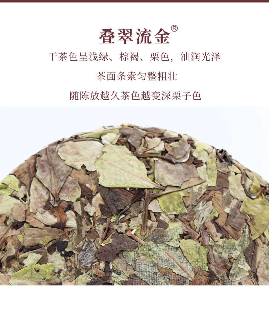 野山-13疊翠流金-5.png