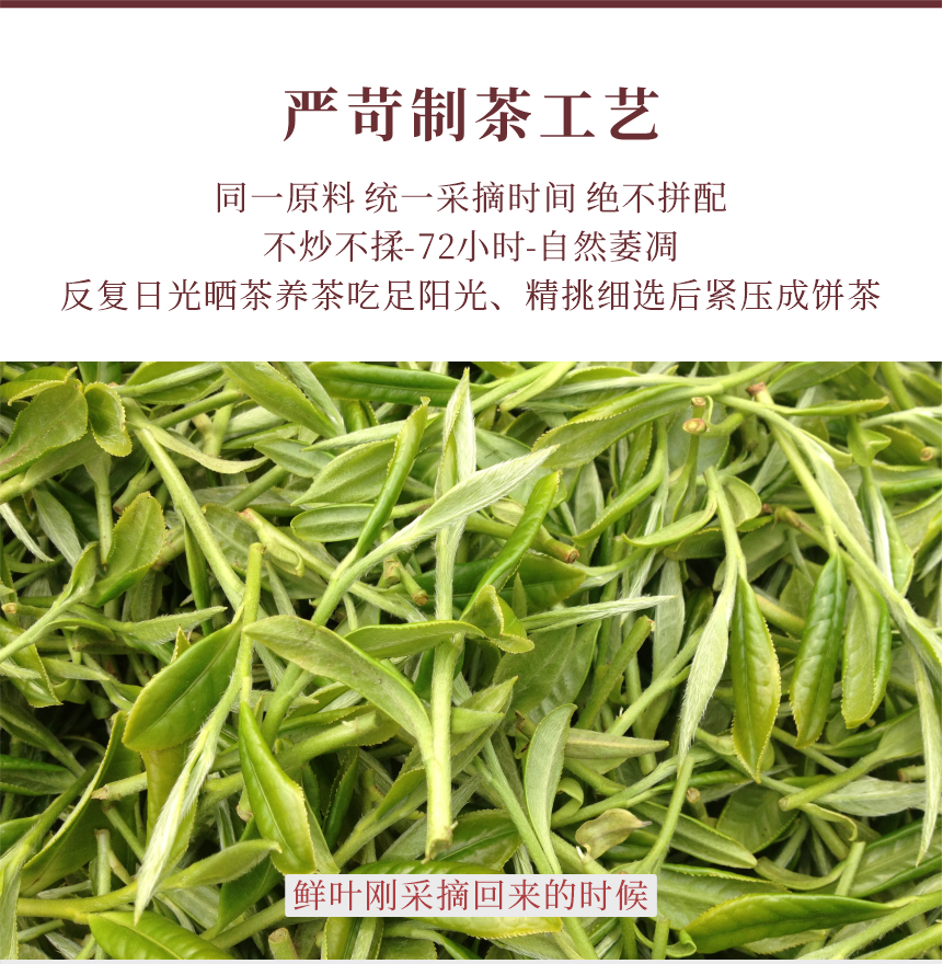 野山-13疊翠流金-11-1.png