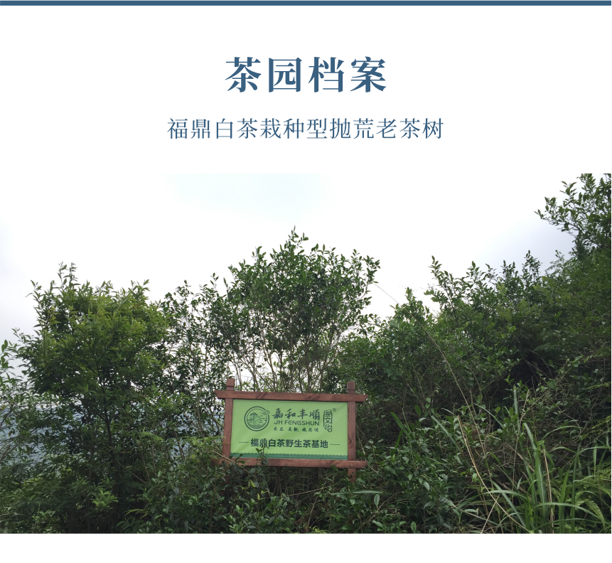 野山-16天成國(guó)色-10-1.png