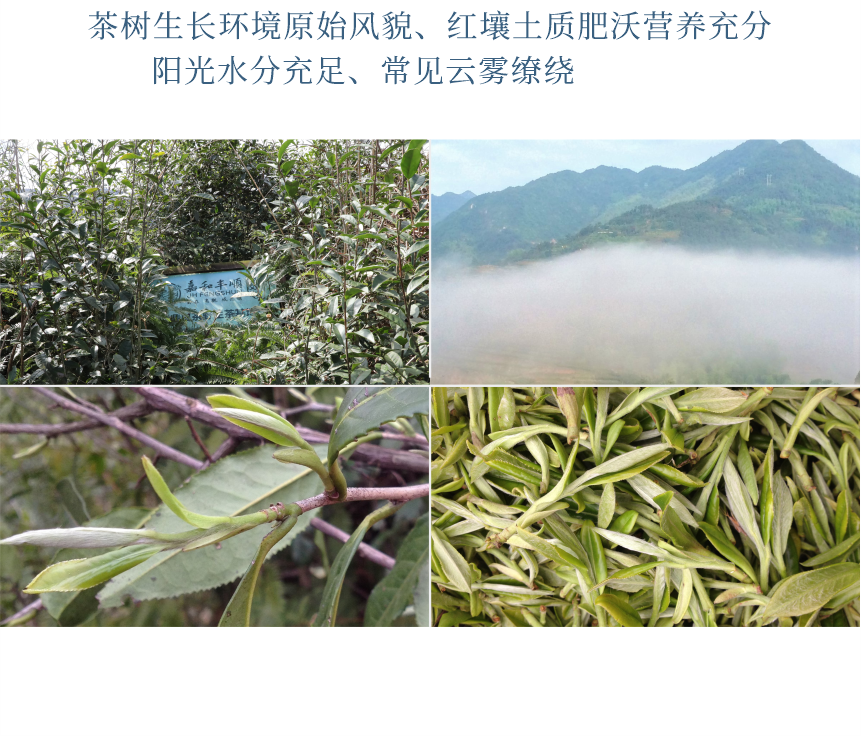 野山-16天成國(guó)色-10-2.png