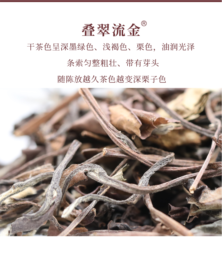 傳世-07疊翠流金-5.png