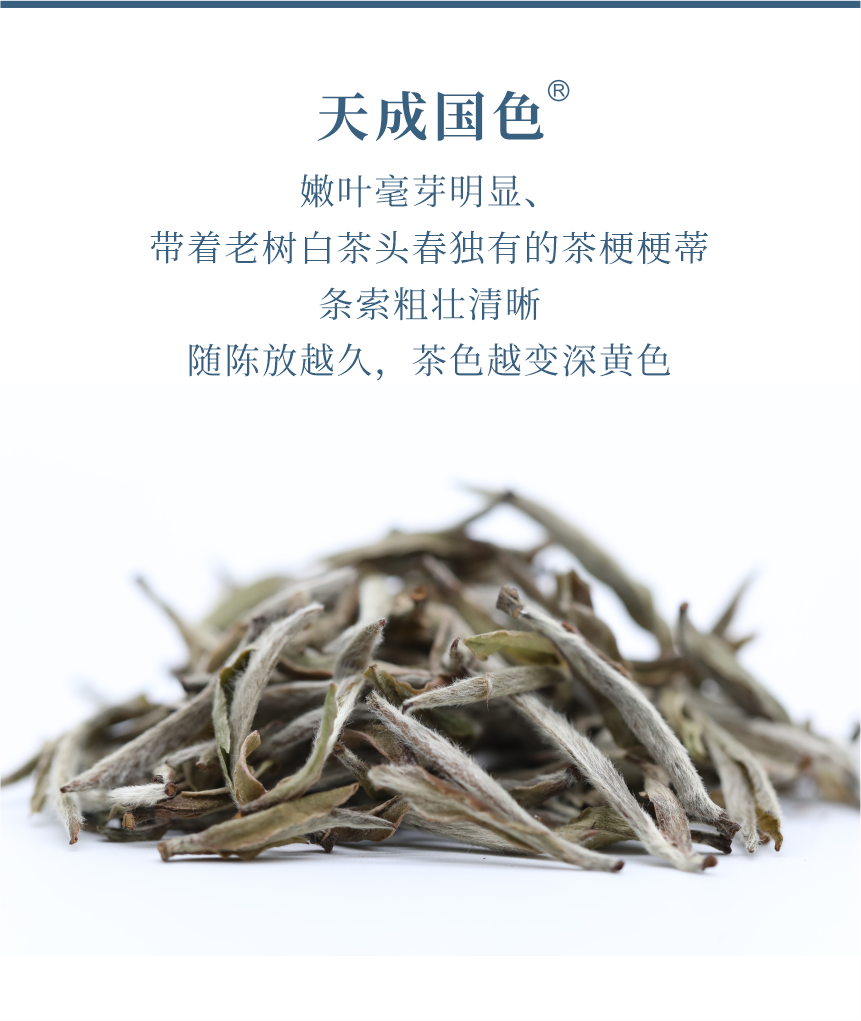 傳世-15天成國色-5.png