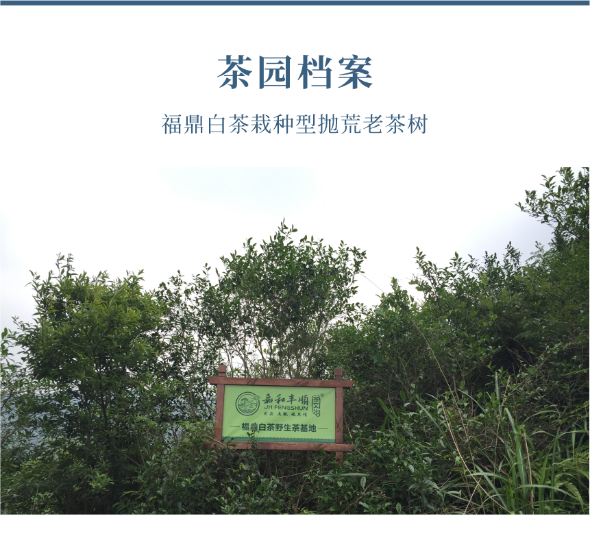 傳世-15天成國色-10-1.png