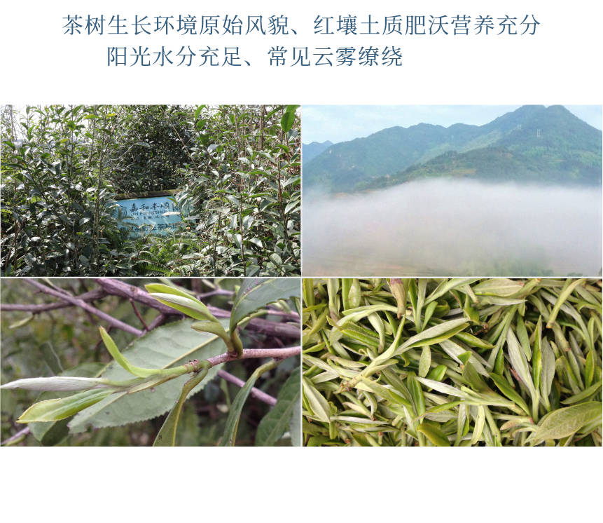 傳世-15天成國色-10-2.png