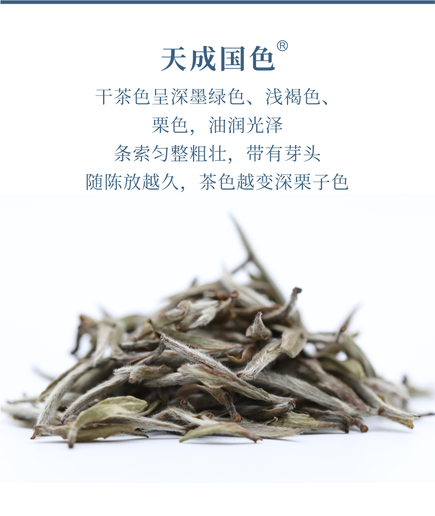 傳世-19天成國色-5.png