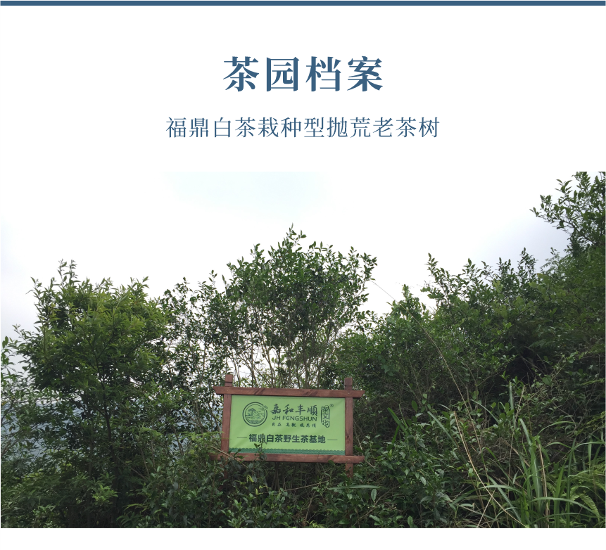 傳世-19天成國色-10-1.png