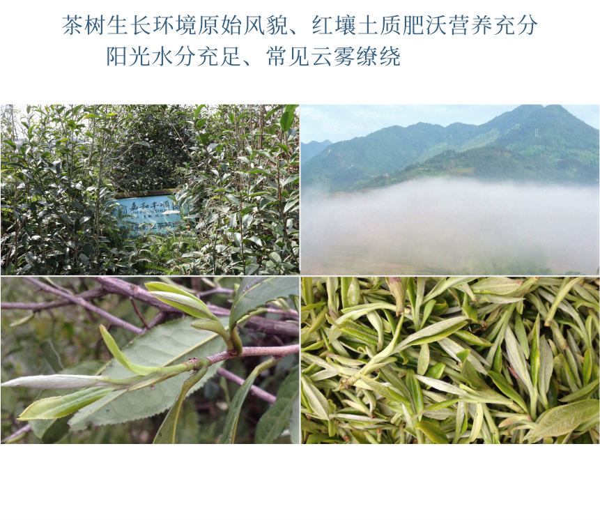 傳世-19天成國色-10-2.png