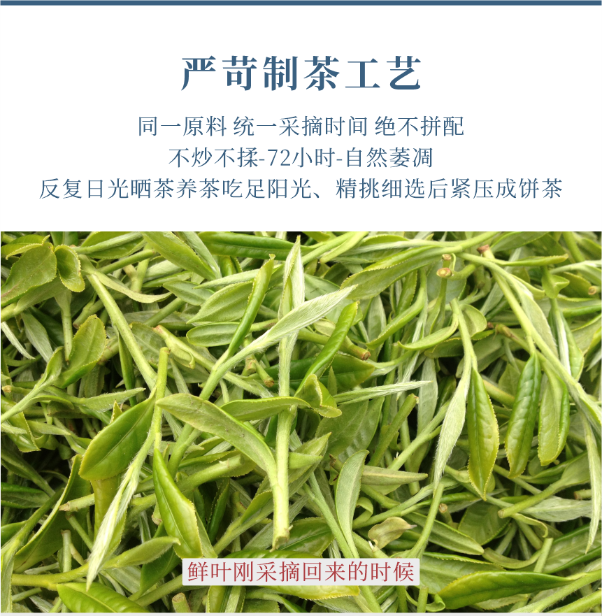 傳世-19天成國色-11-1.png