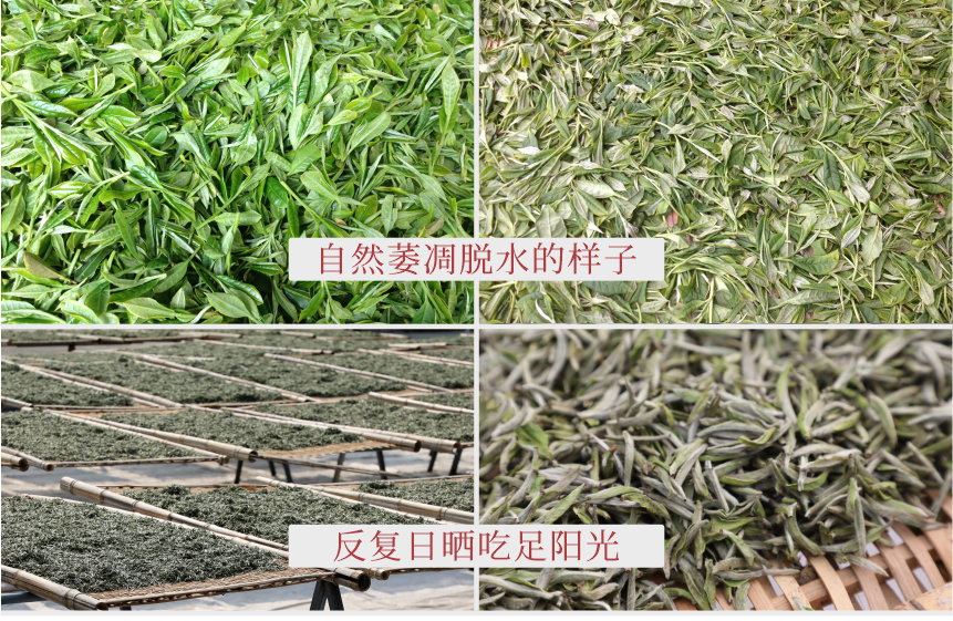 傳世-19天成國色-11-2.png