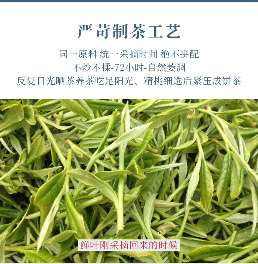傳世-21天成國色-11-1.png