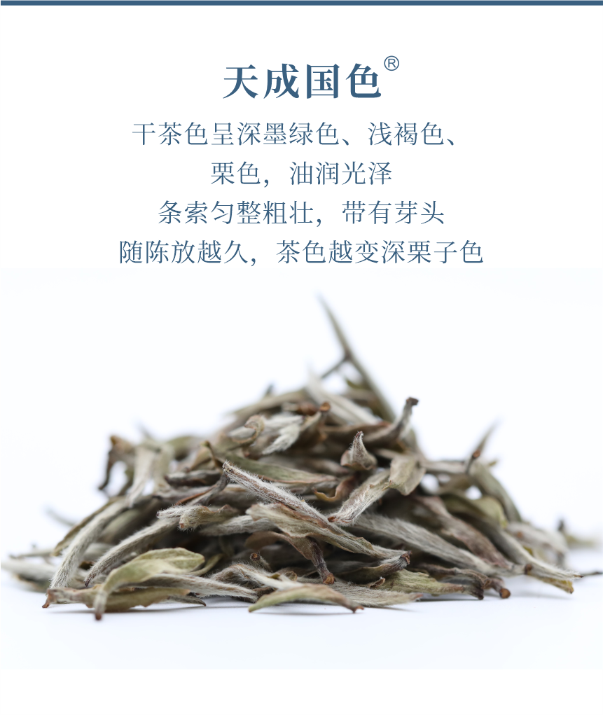 傳世-23天成國色-5.png
