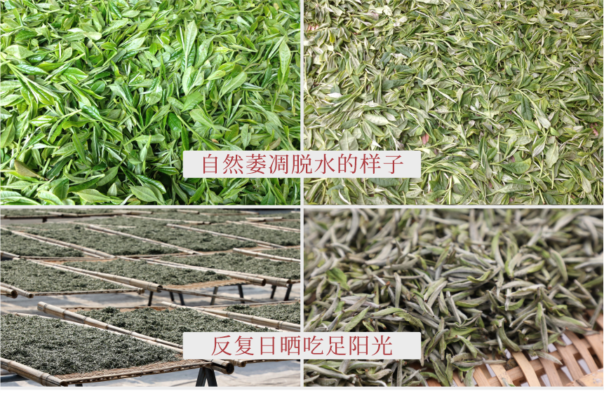 傳世-23天成國色-11-2.png