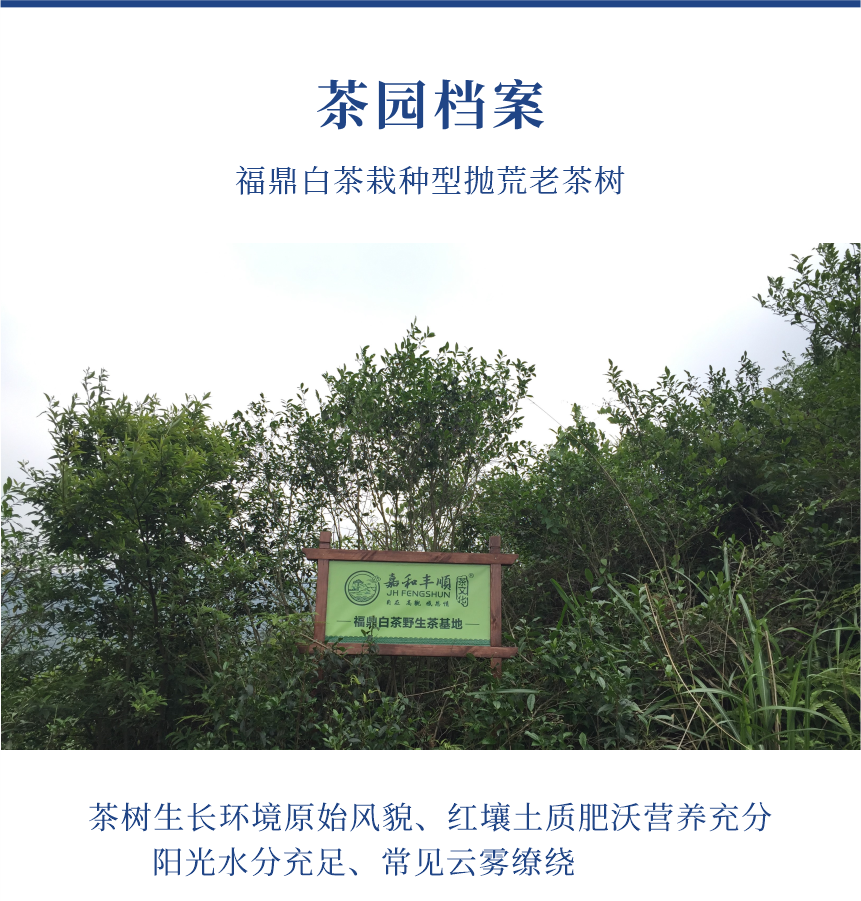 傳世-15至尊鳳毫-10-1.png