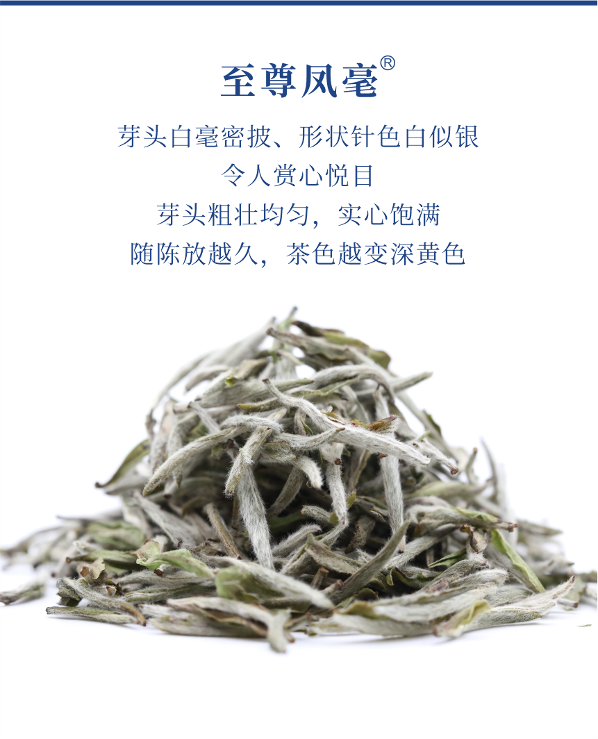 匠心-22至尊鳳毫-5.png