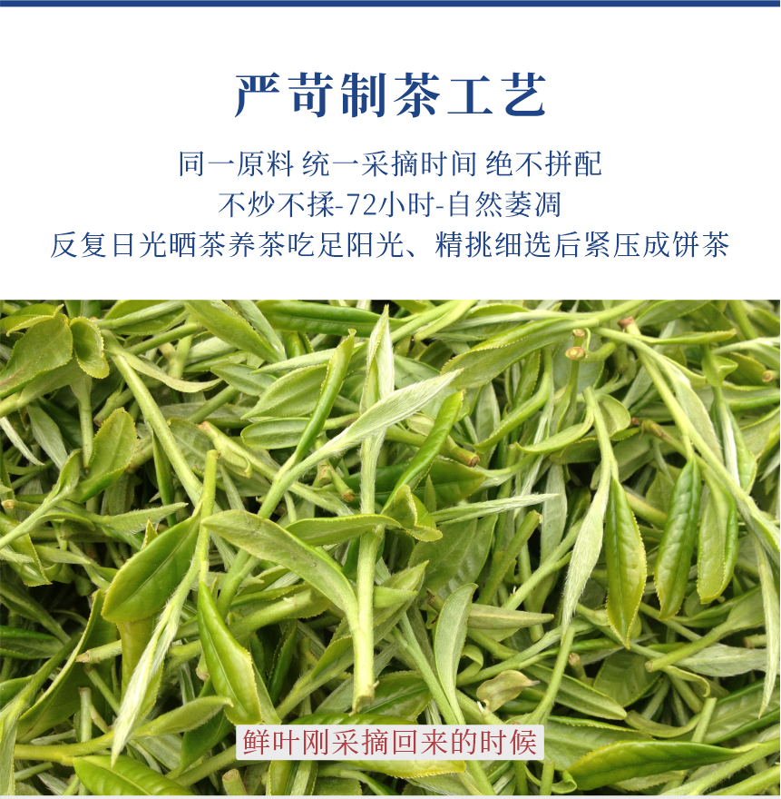 匠心-22至尊鳳毫-11-1.png