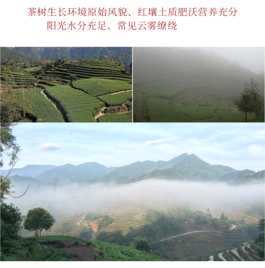 匠心-17秋露華香-典藏裝-10-2.png