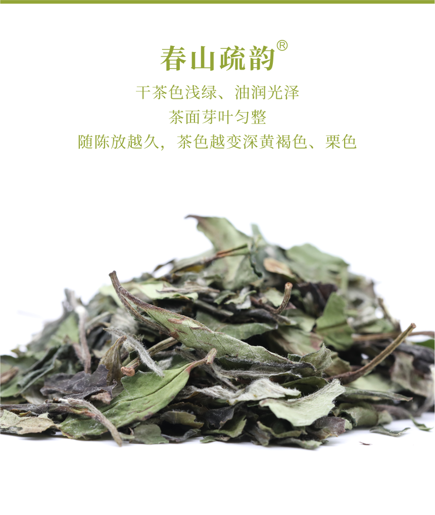 匠心-18春山疏韻-5.png