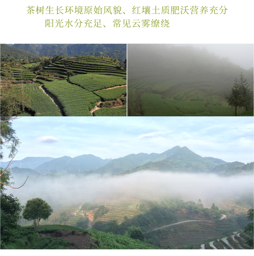 匠心-18春山疏韻-10-2.png