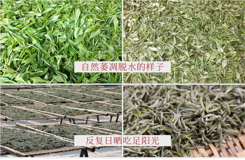 匠心-18春山疏韻-11-2.png