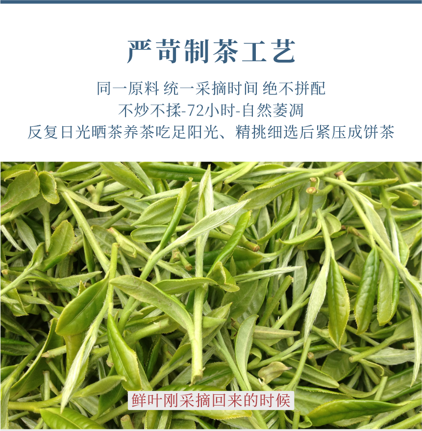 匠心-19天成國(guó)色-11-1.png
