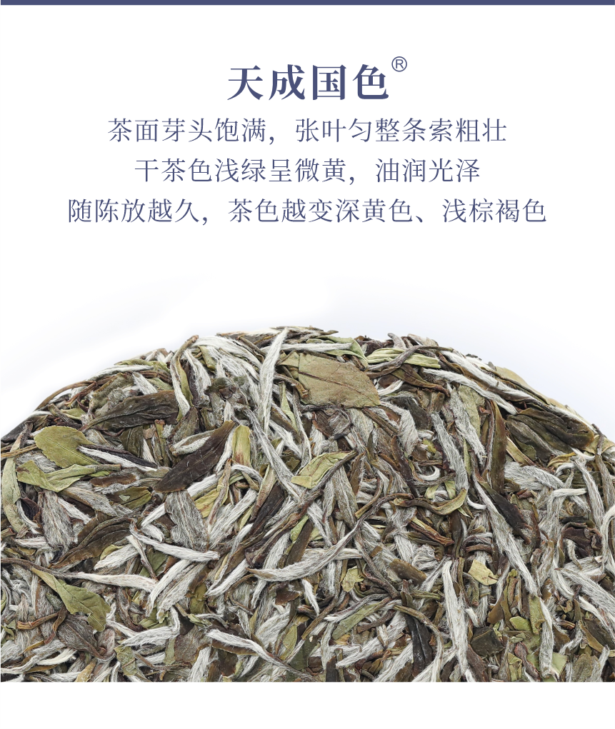 國(guó)禮-23天成國(guó)色-5.png